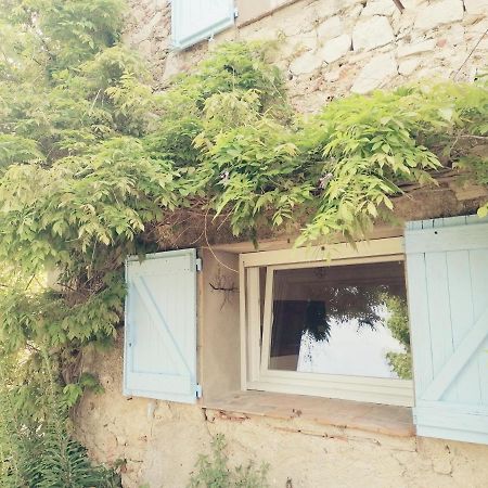 Bastide Provencale Les Muriers D'Engaspaty Seillans Exterior foto